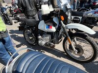 IMG_1184.jpeg