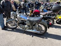 IMG_1200.jpeg