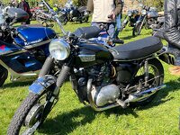 IMG_1210.jpeg