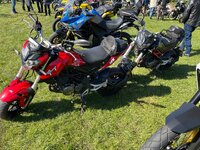 IMG_1212.jpeg