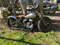 IMG_1226.jpeg