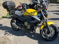 IMG_1229.jpeg