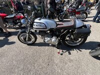 IMG_1243.jpeg