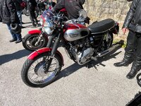 IMG_1248.jpeg