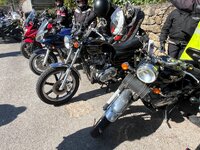 IMG_1252.jpeg