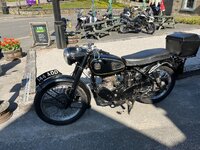 IMG_1264.jpeg
