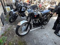IMG_1269.jpeg
