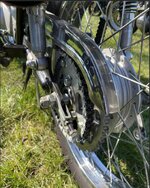 IMG_1525.jpeg