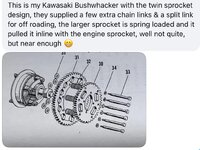 IMG_1524.jpeg