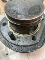 IMG_0137.jpeg
