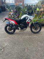 IMG_6893.jpeg