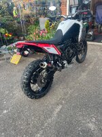 IMG_6894.jpeg