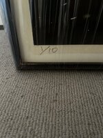 IMG_4983.jpeg