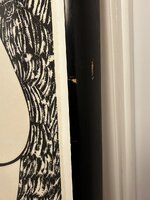 IMG_4996.jpeg