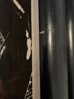 IMG_4999.jpeg