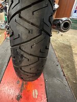 IMG_1317.jpeg