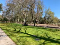 IMG_9201.jpeg