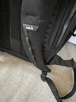 IMG_2372.jpeg