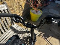 IMG_4707.jpeg