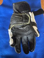 IMG_3472.JPEG