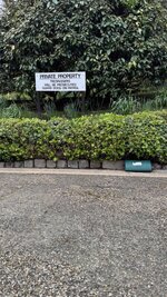 IMG_1440.jpeg