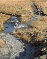 humvee shows the way.jpg