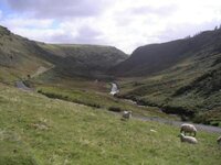Camddwr Bleiddiad.jpg