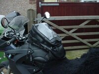dsc03610a.jpg