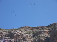 100_1126.jpg
