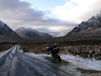 new years day 031.jpg