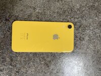 IMG_7962.jpeg