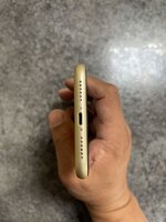 IMG_7966.jpeg