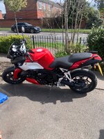 IMG_2640.jpeg