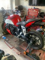 IMG_2556.jpeg