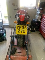 IMG_2557.jpeg