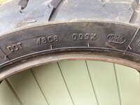IMG_4593.jpeg