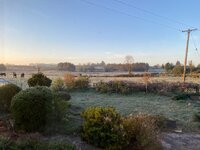 IMG_9384.jpeg