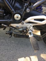 IMG_1393.jpeg