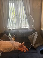 IMG_8504.jpeg