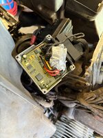 IMG_3795.jpeg