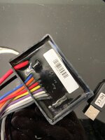 IMG_1498.jpeg