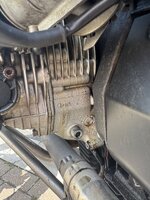 IMG_4468.jpeg IMG_4468.jpeg