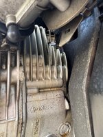 IMG_4470.jpeg IMG_4470.jpeg
