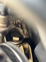 IMG_4471.jpeg IMG_4471.jpeg
