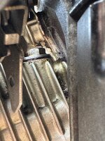 IMG_4474.jpeg IMG_4474.jpeg