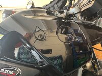 IMG_1020.jpeg
