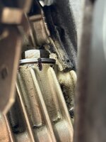IMG_4475.jpeg IMG_4475.jpeg
