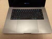 IMG_1234.jpeg