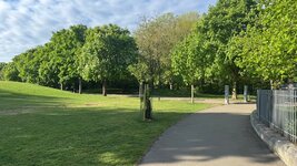 IMG_1880.jpeg