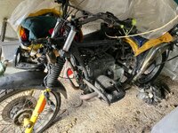 IMG_6372.jpeg